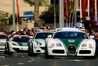 الإمارات تحظر استيراد 7 أنواع سيارات